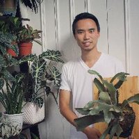 Darryl Cheng (@houseplantjrnl) 's Twitter Profile