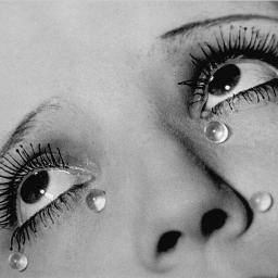 WhiteTearsUSA's profile picture. Confronting racism one white person at a time