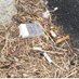 South Phila Trash (@sotuhphilatrash) Twitter profile photo South Phila Trash (@sotuhphilatrash) Twitter profile photo