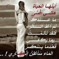 أبو زب طويل (@mshkry0661) 's Twitter Profile