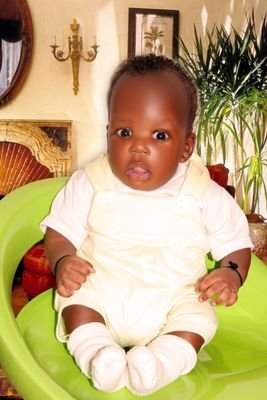 npaulex's profile picture. I am a megga business invester