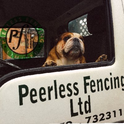 helenPeerlessfe's profile picture. 