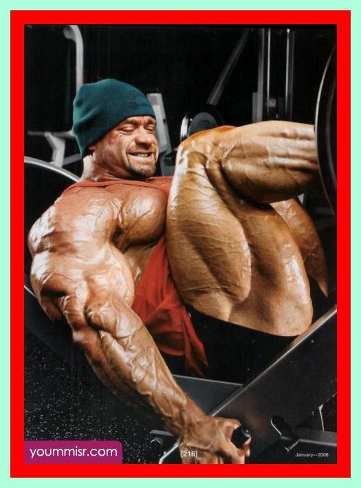 Tired of giving 100% and seeing 50% back? Let these supplements do the bulking for you and get 150% in PURE GAIN! Click for a free sample!