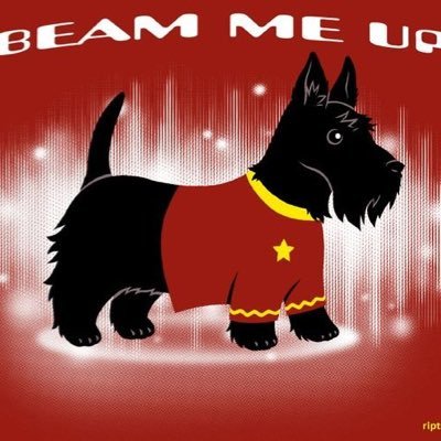 NoxProxy's profile picture. 