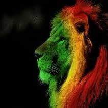 RaymondOcran's profile picture. 