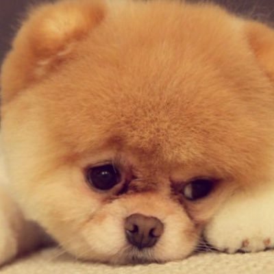 jc_cannet's profile picture. Be yourself everyone else is taken ❤️