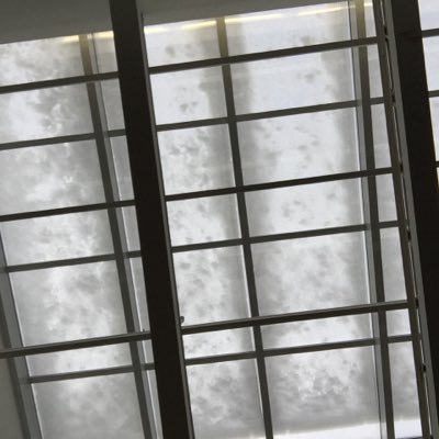 pinnedtweet2's profile picture. 