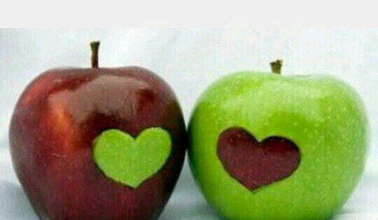 fundakaynak07's profile picture. 