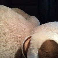 ﾂﾁﾔﾌﾐﾉ (@htath5) 's Twitter Profile