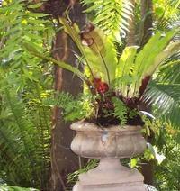 Consultant, author, and speaker on interior plantscaping and indoor plants. author of the new book The Manual of Interior Plantscaping.