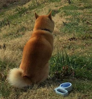 dragoncrane1's profile picture. 漫画原作者＆ライター＆編集者