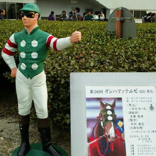 サッカーアルビレックス新潟
プロ野球広島東洋カープ
競馬
基本おバカツイートとエロツイート
♨️🍺