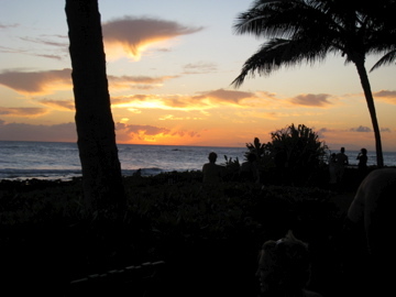 cindyc1's profile picture. 