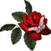 اشواق اشواق (@batoolm54) Twitter profile photo اشواق اشواق (@batoolm54) Twitter profile photo
