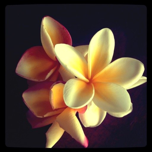 Helloblueplanet's profile picture. 