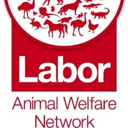 Working for positive outcomes for the welfare of animals