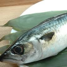 rupan_maikura's profile picture. どーも、マグクラファミリーのさばにぃーです！！ フォローありがとうございます！ おしゃまると言うアプリでのマルチ情報などで皆さんと繋がりたいです よろしくお願いいたします