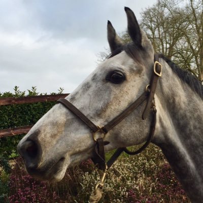 ma_filleule's profile picture. 