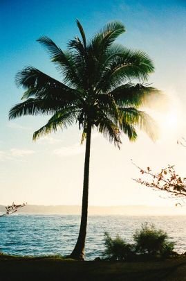 thesongsUlove's profile picture. crazy about music