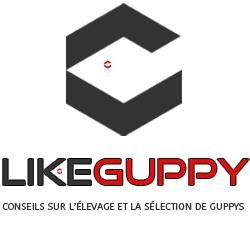 Conseils sur l'élevage et la sélection de #Guppys (#Poecilia_Reticulata) • Maintenance, Reproduction, Standards, Génétique, Maladies, Concours, Championnats.