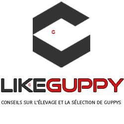 LikeGuppy (@LikeGuppy) / X