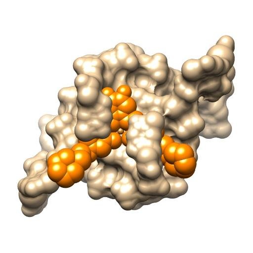 Home of the Ramon Vilar research group at Imperial College London / Chemical Biology, Bioinorganic Chemistry, Nucleic Acids, Molecular Recognition