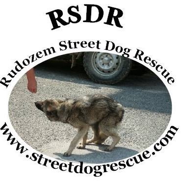 Rudozem Street Dog Rescue is a non-profit foundation that rescues street dogs and finds them loving homes in the UK, NL & Belgium https://t.co/y4qLwwsn5H