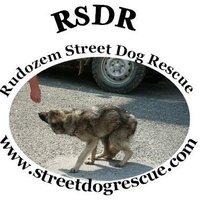 Rudozem Street Dogs (@rsdr) 's Twitter Profile