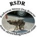 Rudozem Street Dogs (@rsdr) Twitter profile photo Rudozem Street Dogs (@rsdr) Twitter profile photo