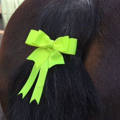 Satin ribbon, double bows. Designed with love and care to be worn at shows and events around your horse or pony's tail. All bows are individually hand made.