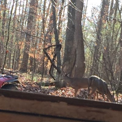 TheProgs's profile picture. progs is what we need.