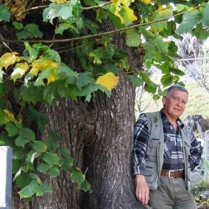 ulmulcerasului's profile picture. 