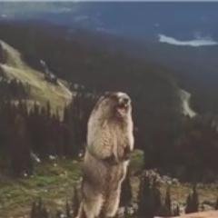 siomarlai's profile picture. 