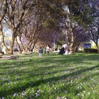 me (@faf_me) 's Twitter Profile