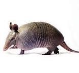 MulitasUy's profile picture. 