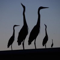 Loralee (@beyondradical) 's Twitter Profile