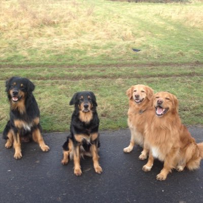 JdsJens's profile picture. 