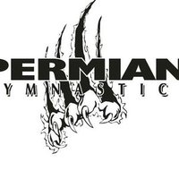 Permian High School (@mojo_gymnastics) 's Twitter Profile