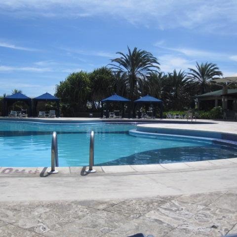 lolalucena1's profile picture. 