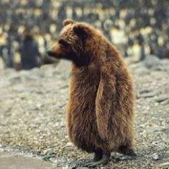 tmtc23's profile picture. alea jacta est