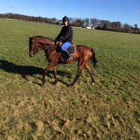 Alex Flannigan (@flannigan_alex) 's Twitter Profile