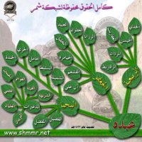 الربيعيه (@3bdh__q8) Twitter profile photo