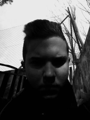 Xeeerraa24's profile picture. Æ