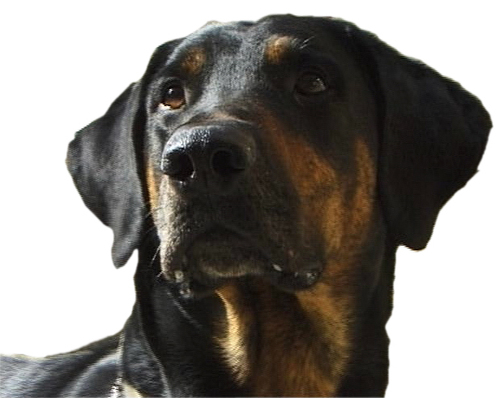 Franco964's profile picture. Cinema and Documentary Producer