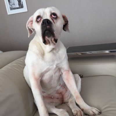 rodriguitssss's profile picture. 