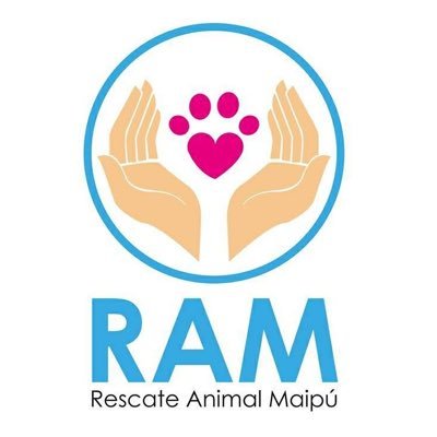 Rescate Animal Maipú (RAM). Nace de la iniciativa de aquellos/as que se preocupan de los animales en situación de calle buscando como fin su rescate.