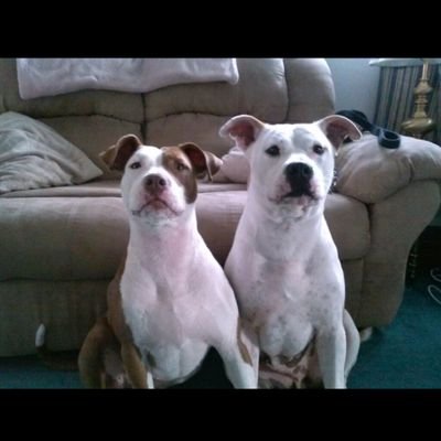 MamaPoper's profile picture. 