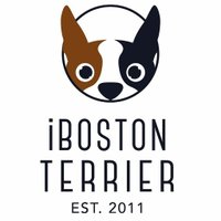 iBostonTerrier.com(@iBostonTerrier) 's Twitter Profile Photo