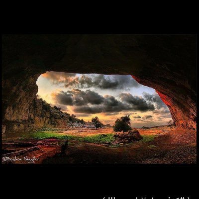 AndrdKOIDyaEDVC's profile picture. 