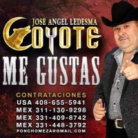 Jose Angel Ledesma (@elcoyoteylats) 's Twitter Profile